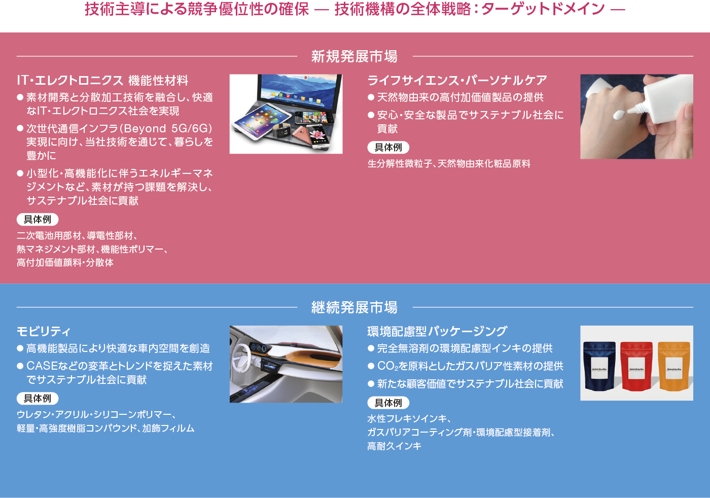技術手動による競争優位製の確保ー技術機構の全体戦略：ターゲットドメイン